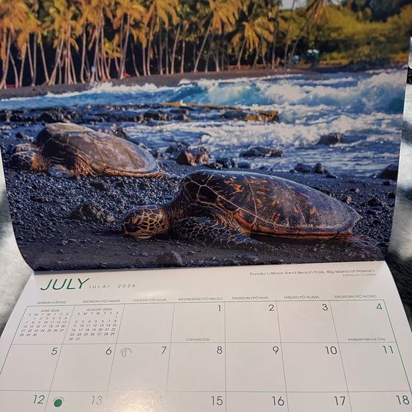 124. Hawaii 2026 Twelve-Month Wall Calendar - Picture 4 of 6